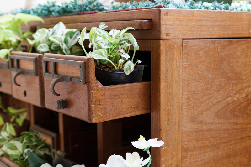 The Unseen Effects of Holiday Waste